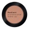 Radiant Professional Eye Color Matte 300 Butterscotch