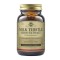 Solgar Milk Thistle Herb & Fare Extract, 60 kapsula perimesh