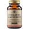 Solgar Chelated Magnesium 100mg Προμηθεύει Υψηλής Ισχύος Χηλικό Μαγ...