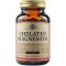 Solgar Chelated Magnesium 100mg Προμηθεύει Υψηλής Ισχύος Χηλικό Μαγνήσιο 100 Tablets