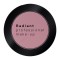 Radiant Professional Eye Color Matte 301 Dusty Rose