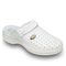 Scholl Clog New Bonus Σαμπό