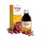 Urinal Syrup Syrup for the Good Health of the Urinary Tract 150ml
