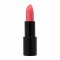 Radiant Advanced Care Lipstick Glossy 110 Papaya 4.5gr Radiant Advanced Care Lipstick Glossy 110 Papaya 4.5gr