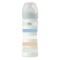 Chicco Well Being Πλαστικό Μπιμπερό Βεραμάν με Ριγές 2m+ , 250ml