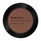 Radiant Professional Eye Color Matte 303 Chocolate Radiant Professional Eye Color Matte 303 Chocolate