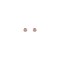 Medisei Ασημένια Σκουλαρίκια - White Mounted Studs No 05417 1ζευγάρι