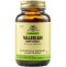 Solgar Valerian Root Extract Στρές - Αϋπνία 60 Capsules