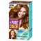 Schwarzkopf Pure Color 7.57 Toffee Addiction Βαφή Μαλλιών 60ml
