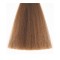 Ossion Βαφη Νο 8.1 Ξανθό Ανοιχτό Σαντρέ - 60ml Ossion Βαφη Νο 8.1 Ξανθό Ανοιχτό Σαντρέ - 60ml