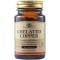 Solgar Chelated Copper 2.5mg 100Tabs Solgar Chelated Copper 2.5mg 100Tabs