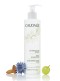 Caudalie Gentle Cleansing Milk, Γαλάκτωμα Ντεμακιγιάζ, Προσώπου & Μ...
