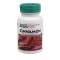 Natures Plus Cinnamon 350mg 60Vcaps Natures Plus Cinnamon 350mg 60Vcaps