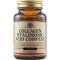 Solgar Collagen Hyaluronic Acid Complex Σύμπλεγμα με Υαλουρονικό Οξ...
