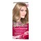 Garnier Color Sensation 8.1 Ξανθό Ανοιχτό Σαντρέ 40ml