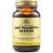 Solgar Saw Palmetto Prostate Symptom Reduction 100 Capsules