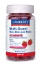 Lamberts Multi Guard Hair, Skin and Nails Gummies με Φυσική Γεύση Σ...