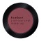 Radiant Professional Eye Color Matte 299 Terracotta Radiant Professional Eye Color Matte 299 Terracotta