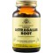 Solgar Astragalus Root Ανοσοποιητικό Σύστημα 100 Capsules Solgar Astragalus Root Ανοσοποιητικό Σύστημα 100 Capsules