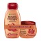 Garnier Promo Botanic Therapy Maple Healer Shampoo 400ml & Botanic ...