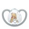 Nuk Space Winnie the Pooh Silicone Pacifier for 0-6 months Gray with Case 1pc