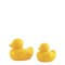 Nuk Bath Duck Παπάκια Μπάνιου 2τμχ Nuk Bath Duck Παπάκια Μπάνιου 2τμχ