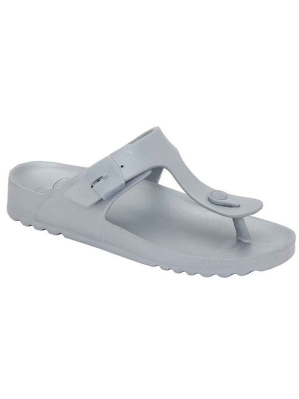 Scholl Bahia Fl …