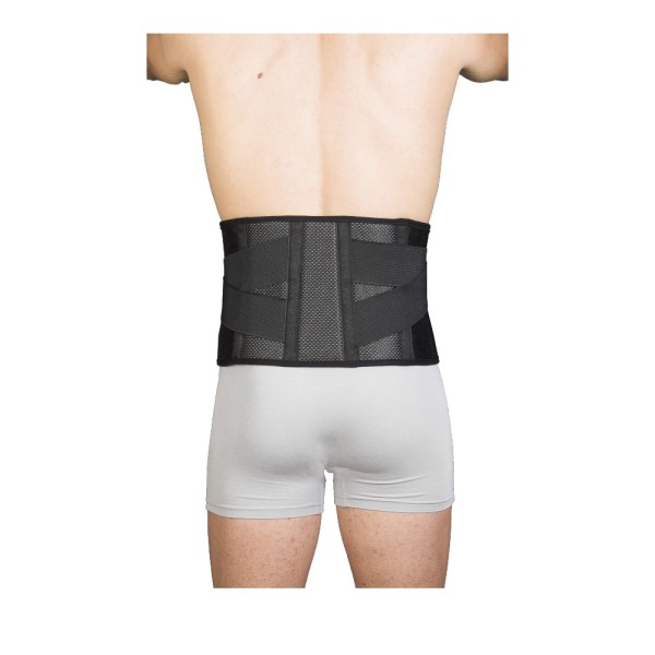 Anatomic Help Ζ … Anatomic Help Ζ …