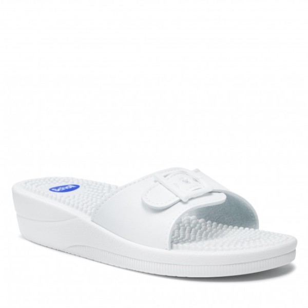 Scholl New Mass …