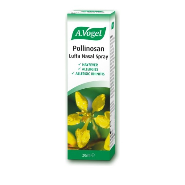 A.Vogel Pollino &hellip;