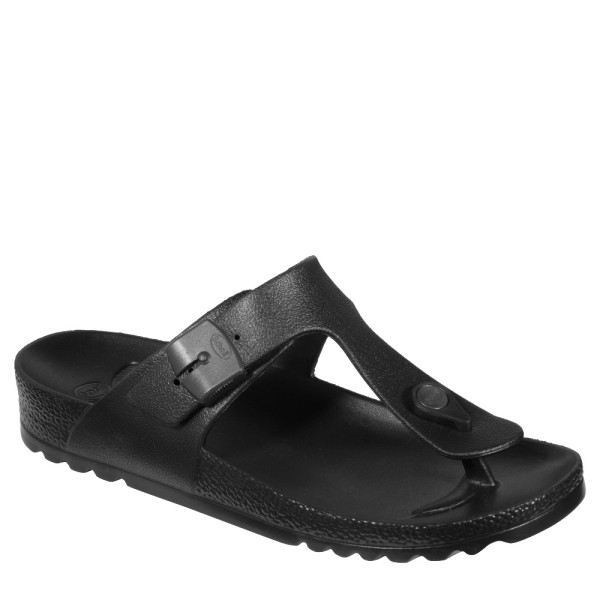 Scholl Bahia Fl &hellip;