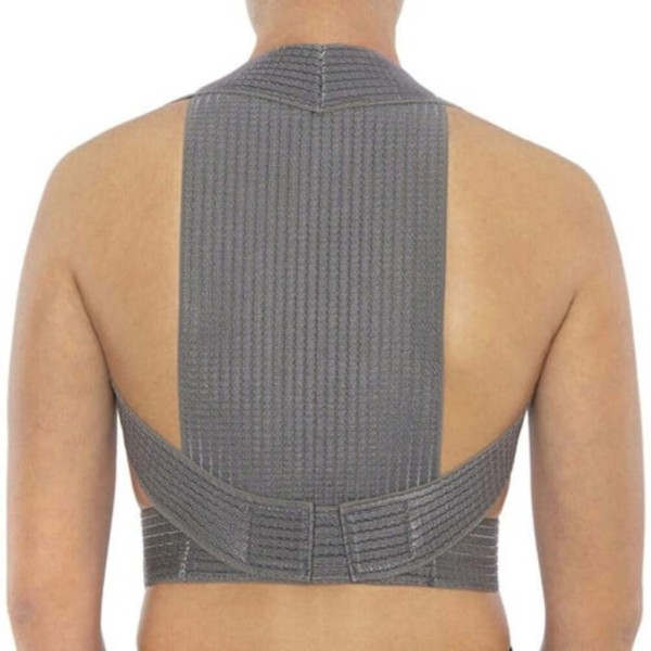 Anatomic Help Ι … Anatomic Help Ι …
